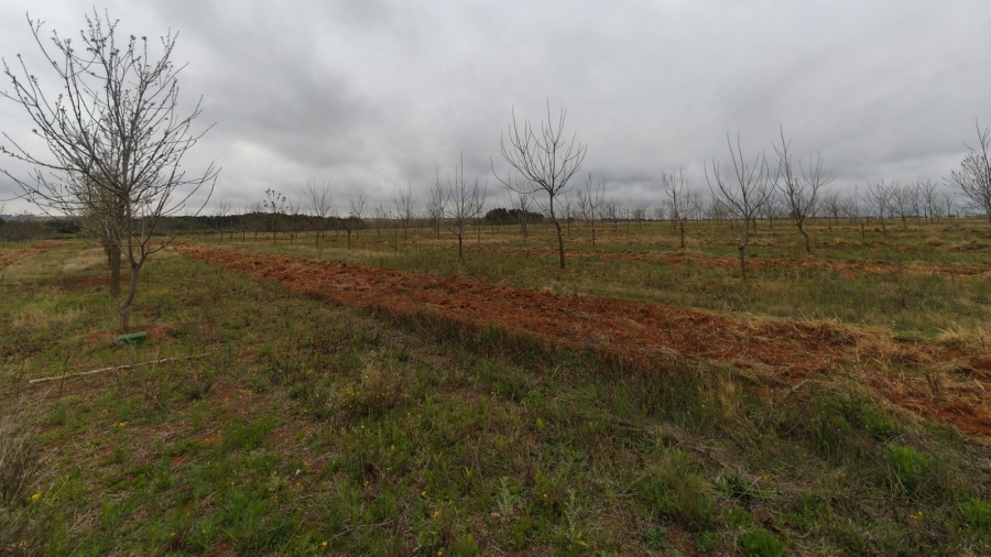 0 Bedroom Property for Sale in Koster North West